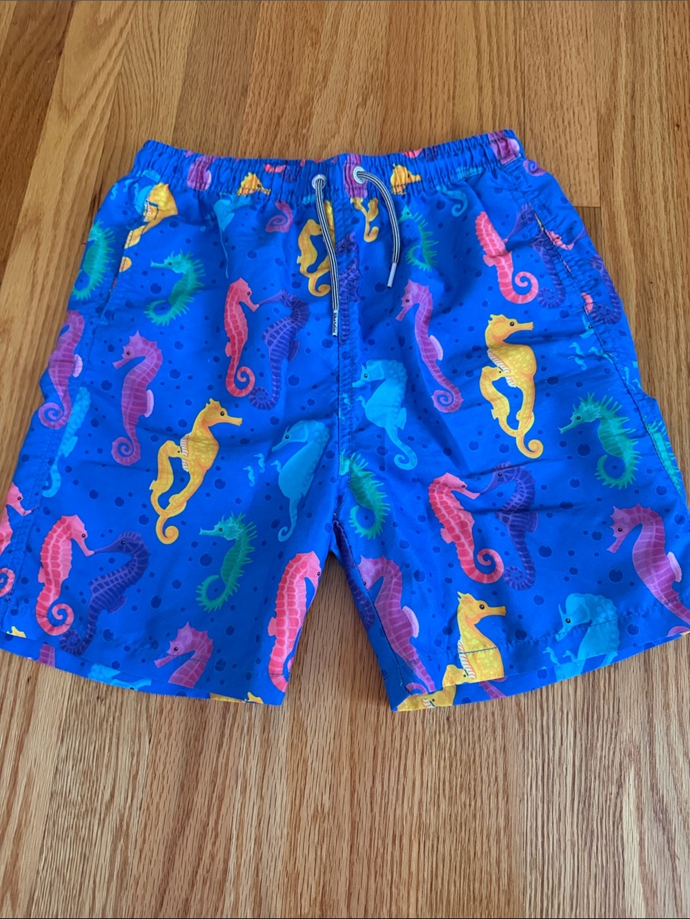 Boys Blue Seahorse Swim Trunks